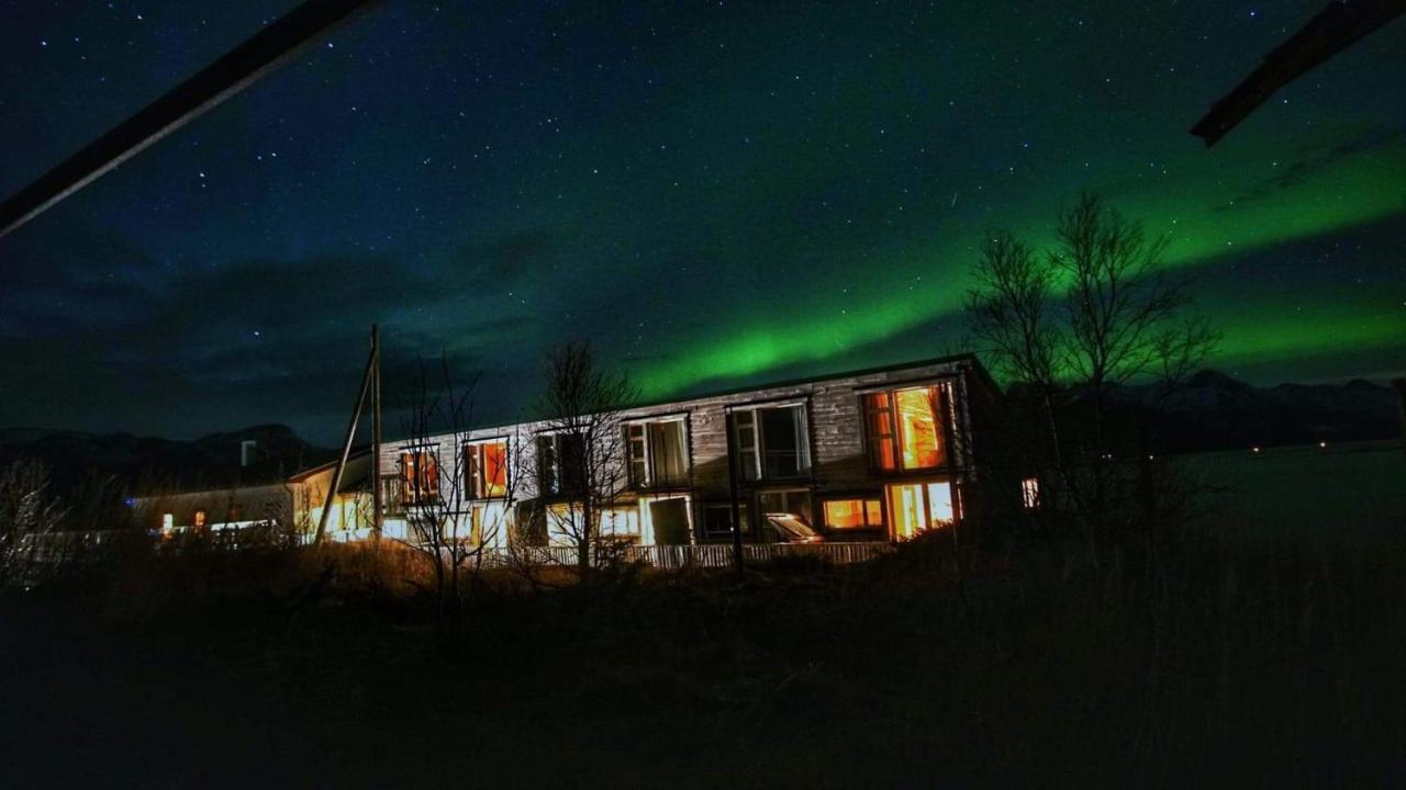 Bed and Breakfast Risvaer Brygger Digermulen Екстер'єр фото